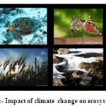 图5： - 气候变化对生态系统的影响