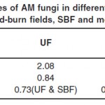 表1。不同研究地点AM真菌多样性指数(原生林、UF;刀耕火种地，SBF和单作林，MF)