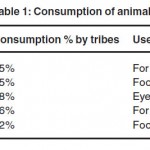 表1:动物消费