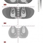 无花果。2:露天处理F200%、F100%、F50%土壤水分空间分布