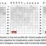 图5:S200%、S100%和S50%遮荫处理距树干20 cm、灌溉管道正下方土壤剖面(Ã属于<3mm)中根系的空间分布;2个滴管的放置位置与水平距离一致(Â±30cm)。
