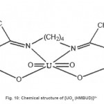 图10：[UO2（HMBUD）] 2+的化学结构