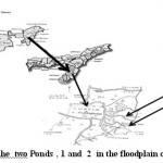 图1：在Chatla Wetland的洪泛区中的两个池塘，1和2的位置