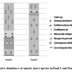 图4：池塘1和池塘中的水生昆虫物种的相对丰度