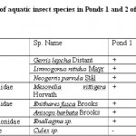 表2:研究期间Chatla泛滥平原1、2塘水生昆虫种类分布情况