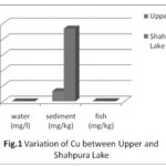 图1:上湖和沙普拉湖之间铜的变化