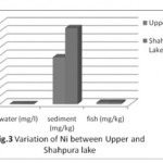 图3：上层和沙普拉湖之间Ni的变异