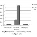 图4：上层和沙普拉湖之间的FE变化
