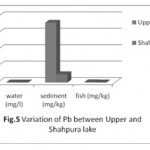 图5：上层和沙普拉湖之间Pb的变化