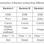 表1:不同池塘水体细菌培养特性