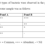 表2:平板中观察到四种不同类型的细菌。各类型在水样中记录的强度如下
