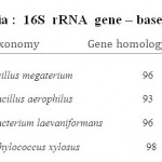 表1：Assam细菌：16s rRNA基因 - 基于识别