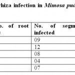 表3：在卡萨尔区不同地点的含羞草Pudica宫霉菌感染的百分比