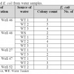 表3：来自水样的孤立的大肠杆菌。