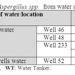表6：孤立的曲霉菌SPP。来自水样。