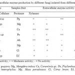 表2.由不同果实分离的不同真菌的细胞外酶产生
