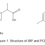 图1：IBP和PCM的结构