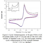 图3:30 ppm PCM在pH为4.7的0.25 M醋酸缓冲液中循环伏安图，扫描速度为100 mV/s，重复扫描次数n=3。在0 V到+ 1.5 V之间扫描的PCM循环伏安图与Ag/AgCl。