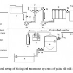 图1所示。棕榈油厂废水(POME)生物处理系统的实验设置