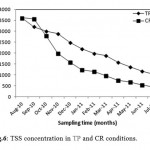 图6：TP和CR条件下的TSS浓度。
