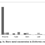 图3。Eichhornia Crassipes中的重金属浓度