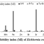 图6所示。石竹的迁移指数(MI)