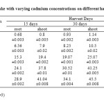 表(1)不同收获日镉含量变化情况