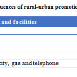 表9：农村城市促进在研究区的后果