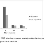 图4：AMF感染对绿色玻璃房屋状况下锅实验宏观营养吸收的影响。“class=
