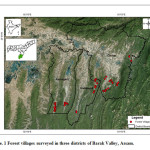 数字。1森林村庄在巴拉克谷，阿萨姆的三个地区调查。