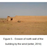 图5  - 风中北墙的侵蚀（作者，2014）