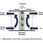 图1-微生物燃料电池概念(newspphone, 2014)