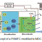 图2- PAMFC修改为MDC的概念(Blogs, 2013)。
