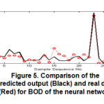 图5。对比神经网络BOD的预测输出(黑色)和真实数据(红色)