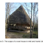 图5-温和和潮湿的气候中农村房屋的景观