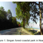 图1:Noashahr的Singan森林海岸公园