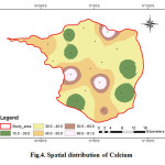 图4。钙的空间分布