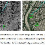 图2:1956年(左)和2010年(右)两幅卫星图像的对比显示了沿河历史花园和农田的退化。城市发展中只有两个历史花园幸存下来(来源:谷歌maps, 2014)。