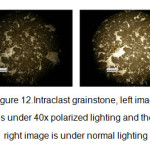 图12.IntRaclast造粒石，左侧图像低于40倍偏光灯，右侧图像处于正常照明
