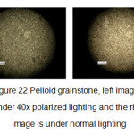 图22。球粒状颗粒石，左图为40倍偏光照明，右图为正常照明