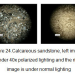 图24。钙质砂岩，左图为40倍偏振光下，右图为正常光下