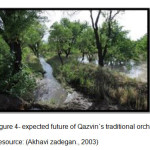 图4- QAZVIN的预期未来传统果园资源:( Akhavi Zadegan。，2003）