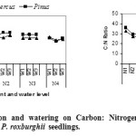 图5:施肥和浇水对白毛蚁和刺梨幼苗碳氮比的影响。