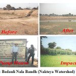 图1a: Bedauli Nala Bandh (Nakteya流域)地块