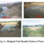 图1c: Hadgadi Nala Bandh (Nakteya流域)
