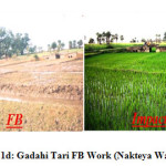 图1d: Gadahi Tari FB Work (Nakteya Watershed)