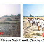 图1e: Mahua Nala Bandh (Nakteya分水岭)