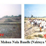 图1e: Mahua Nala Bandh (Nakteya流域)