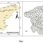 图1显示(a)取样位置(b)四地地区地质分类的地图
