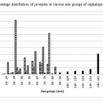图1不同大小的头足类幼体的百分比分布